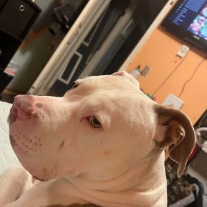 Meet your Posher, Dale n mandy